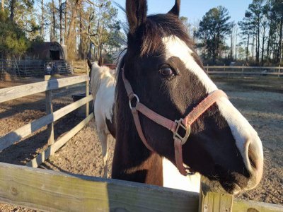 Things To Do Beebe Ranch